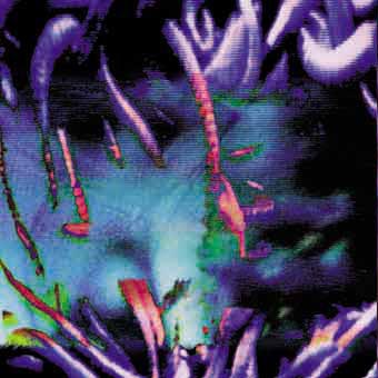 Carved Insane Pain Junkie cd back cover 